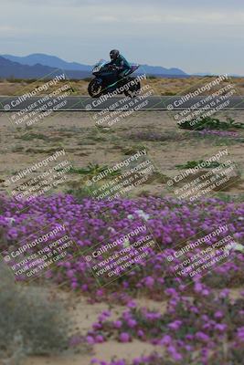 media/Jan-14-2023-SoCal Trackdays (Sat) [[497694156f]]/Turn 14 Exit Bloomig (145pm)/